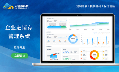 数字化企业升级 精选四大软件定制开发方案